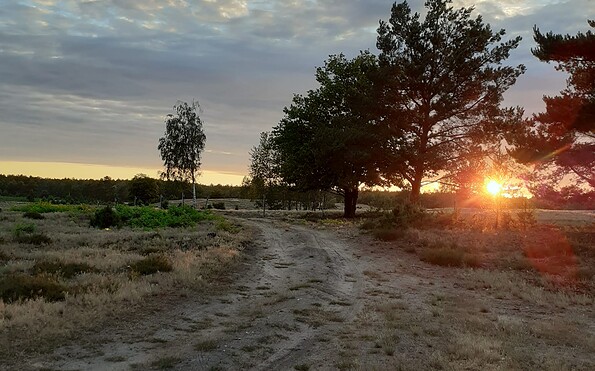 Foto: Michael Temme, Lizenz: Michael Temme