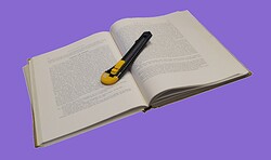 Ferienprogramm: Wohin mit alten Büchern?