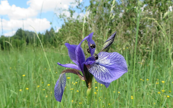 Foto: Martina Wagner, Lizenz: Martina Wagner