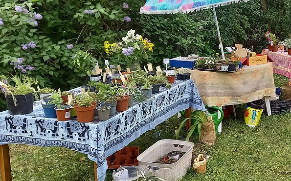 Foto: Jasmin Oldag, Lizenz: AWO Mehrgenerationenhaus „Alte Korbmacherei“