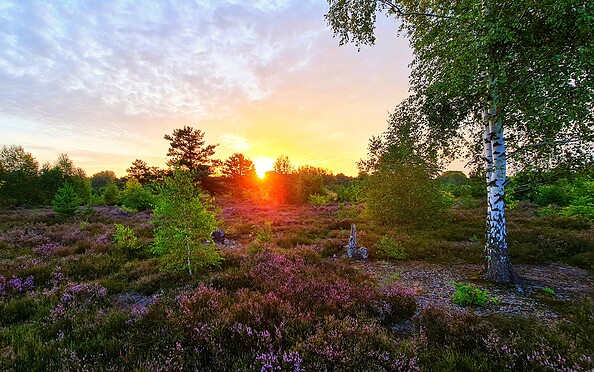 Foto: Dirk Dreyer , Lizenz: Dirk Dreyer
