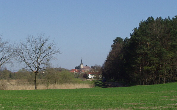 Foto: Andreas Lauter, Lizenz: NaturSchutzFonds Brandenburg