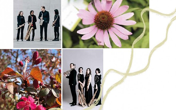 Foto: Veranstalter, Lizenz: Veranstalter