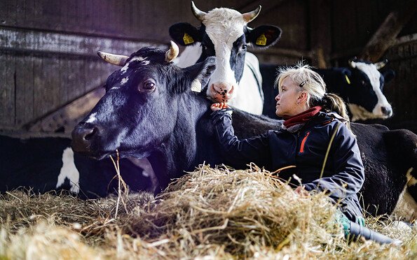 Foto: Kathleen Bartel, Lizenz: Mosaik-Berlin gGmbH