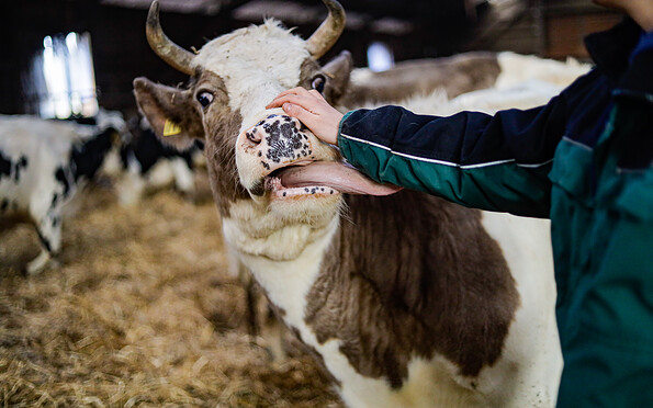Foto: Kathleen Bartel, Lizenz: Mosaik-Berlin gGmbH