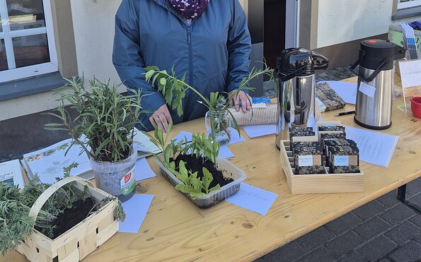 Foto: Gabriele Lange, Lizenz: Amt Joachimsthal (Schorfheide)