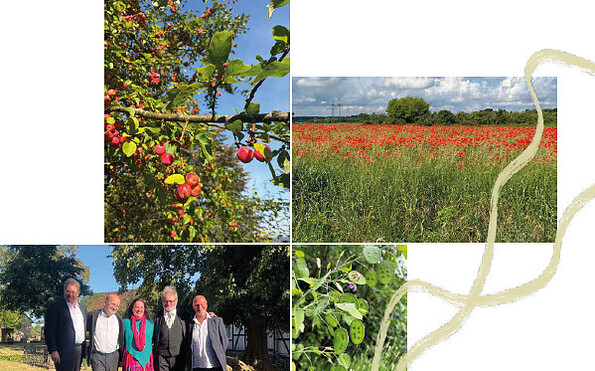 Foto: Förderverein der Evangelischen Kirchengemeinde Töplitz e. V., Lizenz: Förderverein der Evangelischen Kirchengemeinde Töplitz e. V.