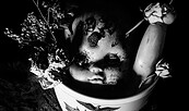 Foto: Mirko Borscht