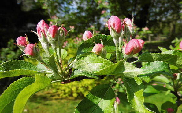 Foto: Ute Bernhardt, Lizenz: Ute Bernhardt