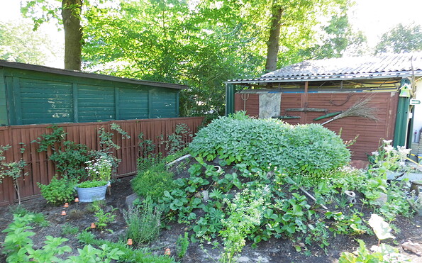 Foto: Ute Bernhardt, Lizenz: Ute Bernhardt