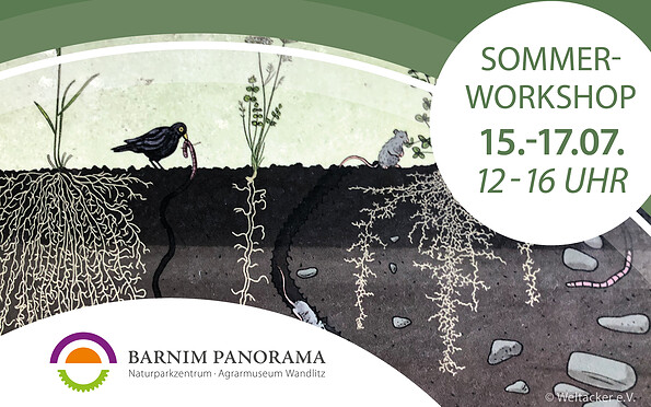 Foto: Barnim Panorama, Lizenz: Barnim Panorama