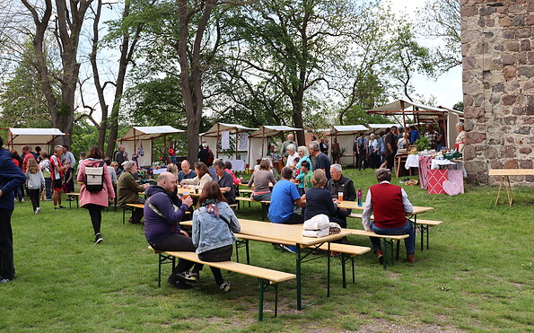 Foto: Adrian Rompel, Lizenz: Freunde der Feldsteinkirche Stegelitz e.V.