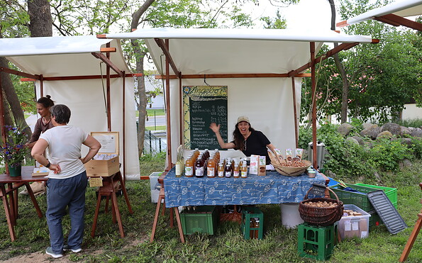 Foto: Adrian Rompel, Lizenz: Freunde der Feldsteinkirche Stegelitz e.V.