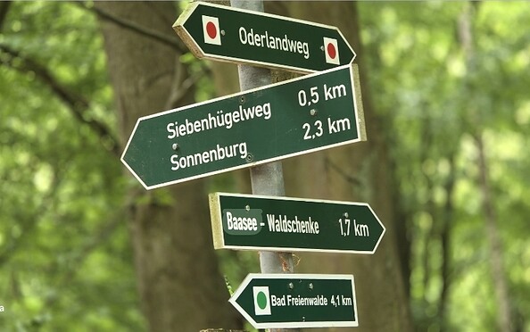 Foto: Bernd Müller Die NaturFreunde Oberbarnim