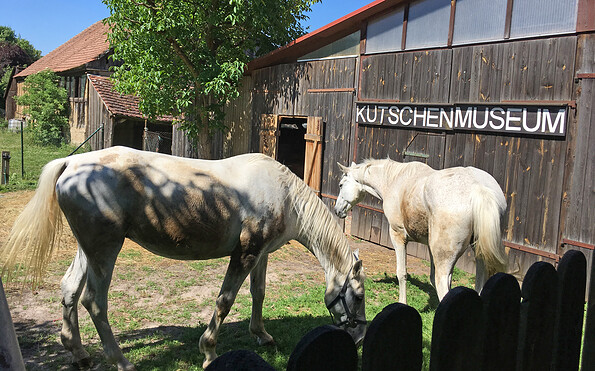Foto: Anke Bielig, Lizenz: Gemeinde Schorfheide