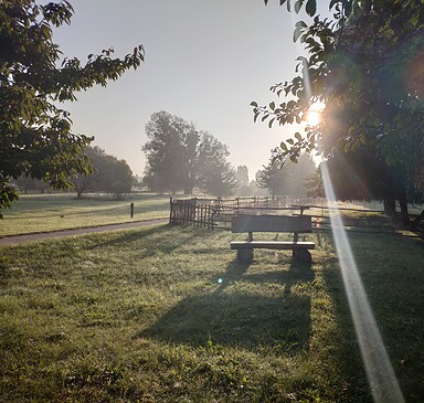 Glühwürmchen Picknick