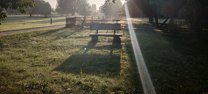 Glühwürmchen-Picknick