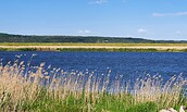 Radtour zu Hand aus dem Grabe und Liebeslinde entlang der Oder