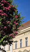 Foto: Museum Neuruppin, Lizenz: Museum Neuruppin