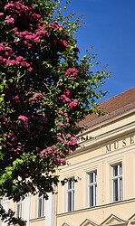 GENERATION 65PLUS | Neuruppin erzählt - Ein Ausstellungsrundgang