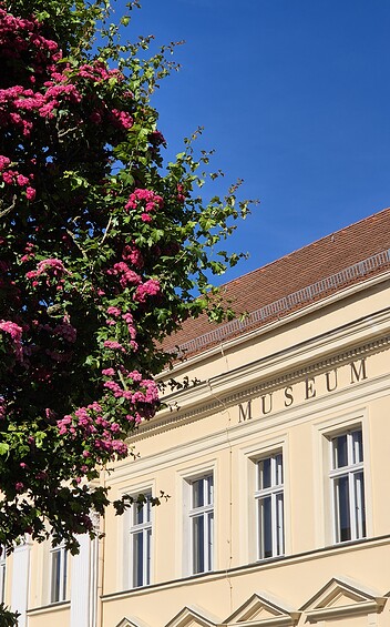 Foto: Museum Neuruppin, Lizenz: Museum Neuruppin