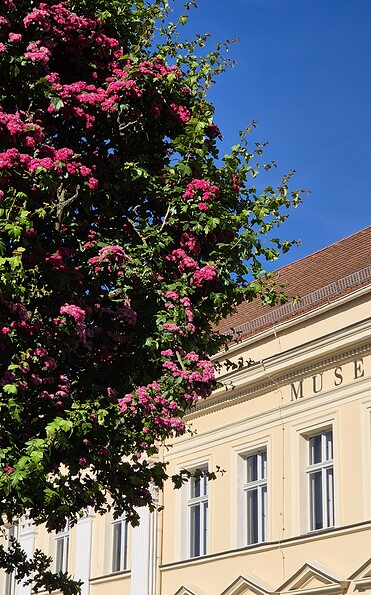 Foto: Museum Neuruppin, Lizenz: Museum Neuruppin
