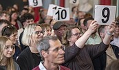 Foto: Thomas Roese, Lizenz: Präsenzstelle O-H-V | Velten