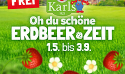 🍓 Die Erdbeerzeit 2026 ist endlich da! 🍓
