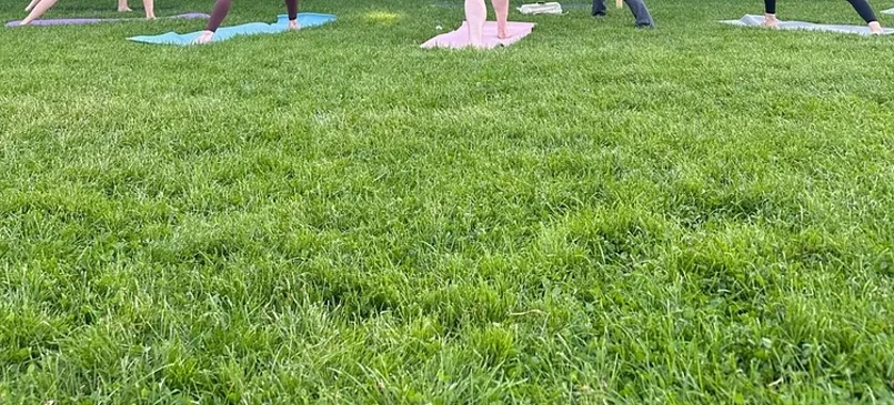 Vinyasa Yoga mit Paulina Wiegand