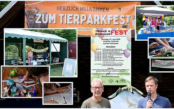 Foto: Falk Knudsen