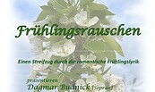 Foto: Dagmar Budnick, Lizenz: Dagmar Budnick