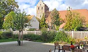Foto: J. Warnei, Lizenz: Tourismusverein Angermünde e. V.