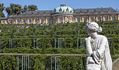 Foto: André Stiebitz, Lizenz: PMSG, SPSG