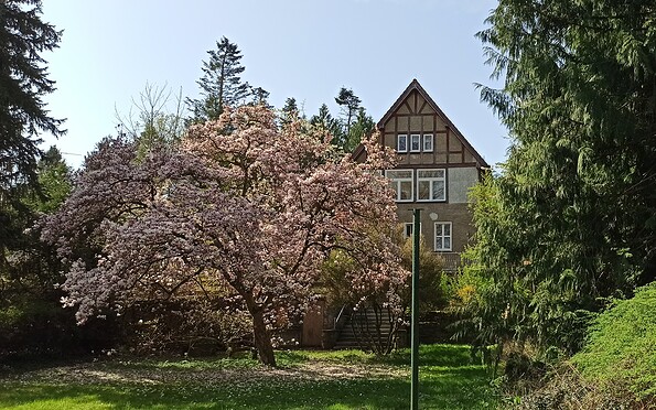 Foto: Kathleen Brandau, Lizenz: Gemeinde