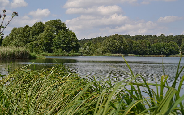 Foto: Linda Geilich, Lizenz: MuT - Marketing und Tourismus Guben e.V.