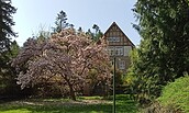 Foto: Kathleen Brandau, Lizenz: Gemeinde