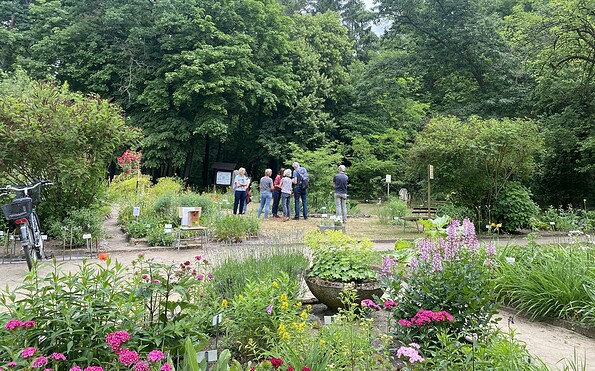 Zu Besuch im Lehmann-Garten, Foto: Alena Lampe
