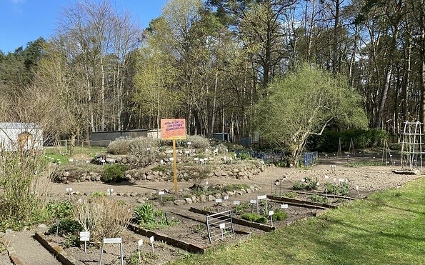 Lehmann-Garten Templin, Foto: Alena Lampe