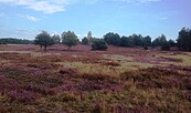 Foto: S.Lehmann, Lizenz: Touristinformation Doberlug-Kirchhain