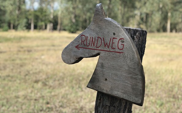 Am Wildpferderundweg, Foto: Durant, Lizenz: Tourismusverein Naturpark Barnim