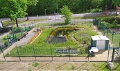 Offenes Schildkrötengehege Grünheide