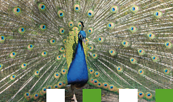 Foto: Zoo Eberswalde