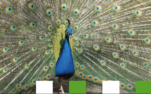 Foto: Zoo Eberswalde