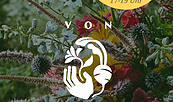 Foto: Von Hand - Blumen & Gemüse, Lizenz: Von Hand - Blumen & Gemüse