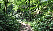 Foto: Naturparkverwaltung Hoher Fläming, Lizenz: (C) Naturparkverwaltung Hoher Fläming