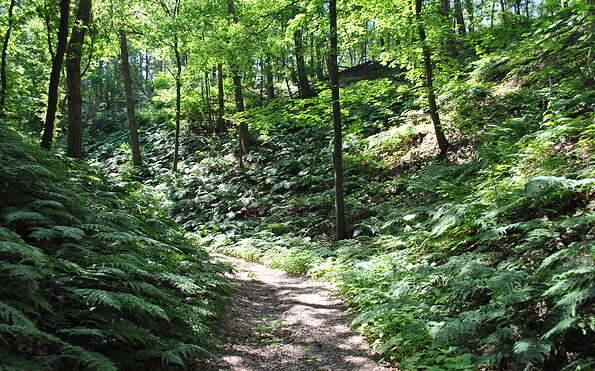 Foto: Naturparkverwaltung Hoher Fläming, Lizenz: (C) Naturparkverwaltung Hoher Fläming