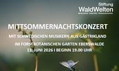 Foto: Stiftung WaldWelten