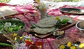 Foto: NABU/Potsdam