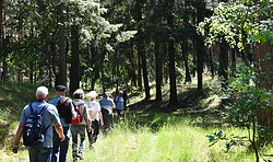 Unterwegs im Nieplitztal (Wanderung)