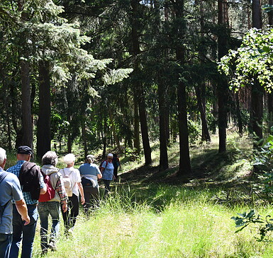 Unterwegs im Nieplitztal (Wanderung)